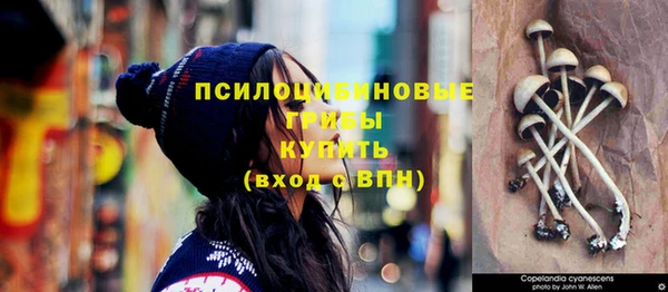 шишки Лиски