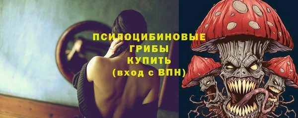твердый Магадан