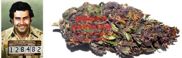 PSILOCYBIN Ладушкин